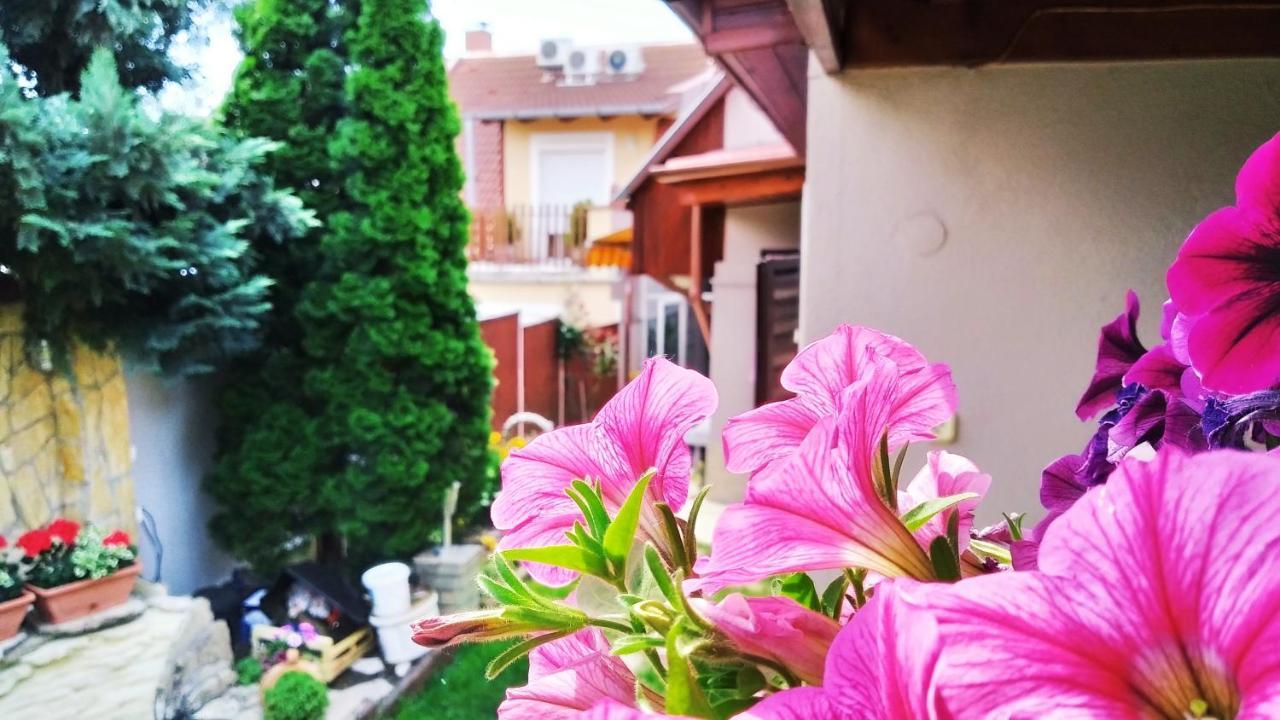 Csobogo Vendeghaz Apartment Егер Екстериор снимка
